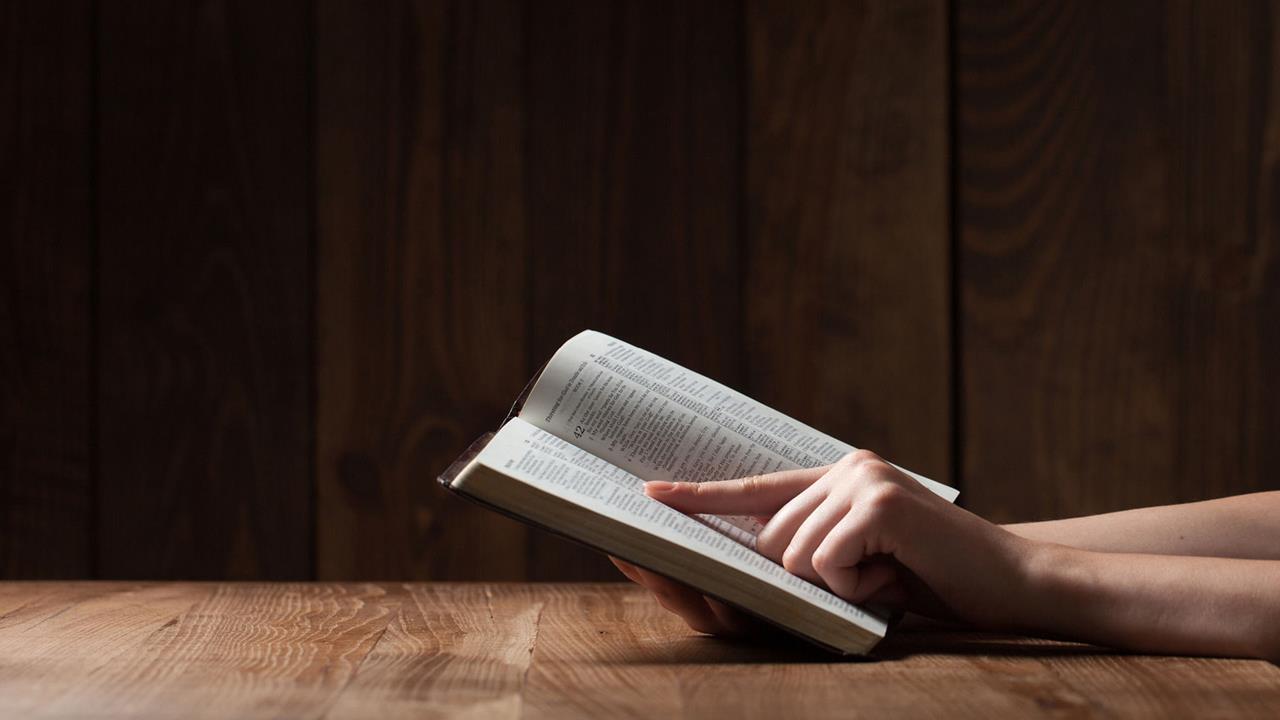 usccb readings​