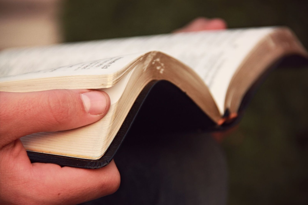 usccb readings