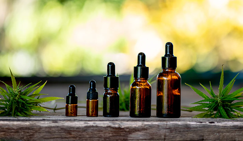 best cbd gold bee