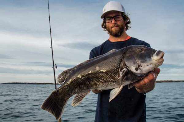 ocean explorer belmar fishing report