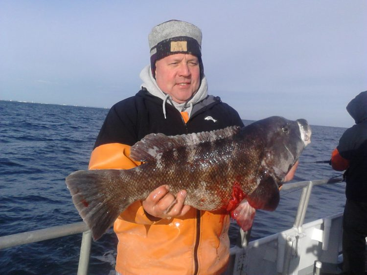ocean explorer belmar fishing report