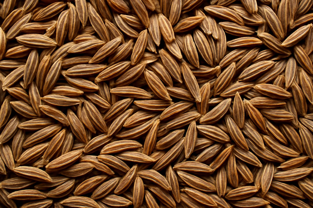 carvi seed