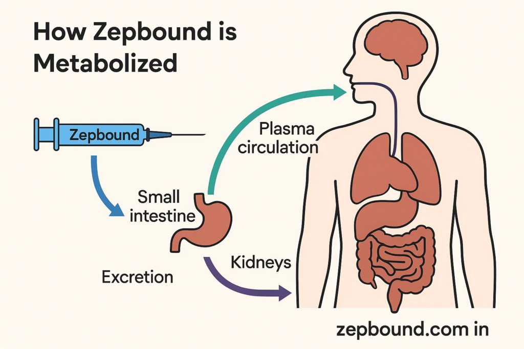 how long does zepbound stay in your system